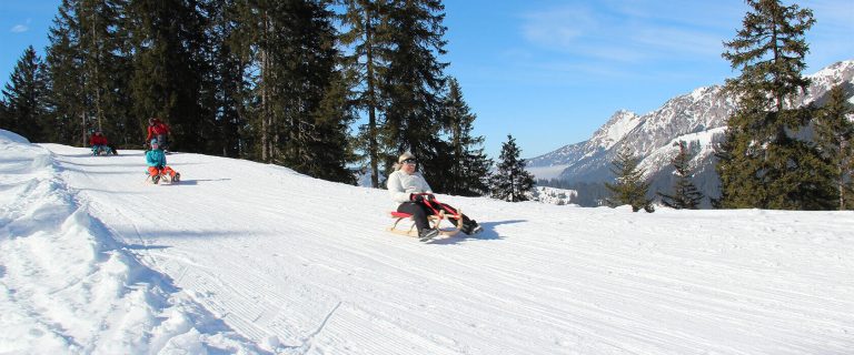 Rodeln / Schlittenfahren am Haldensee im Tannheimertal